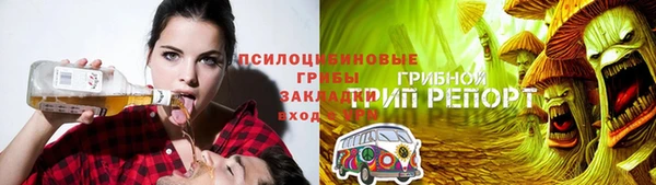 дживик Козельск
