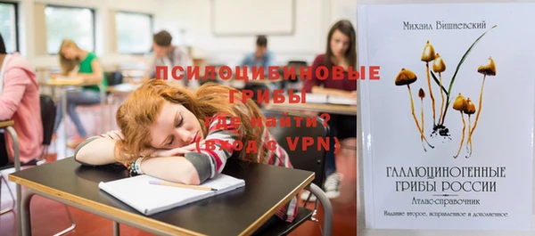 ПСИЛОЦИБИНОВЫЕ ГРИБЫ Козловка