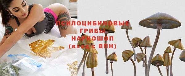 дживик Козельск