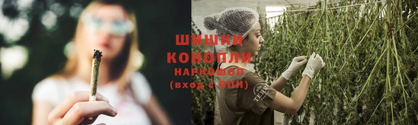 сатива Кодинск