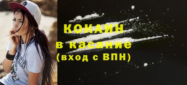 дживик Козельск