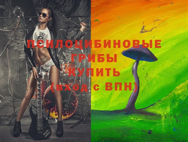 дживик Козельск