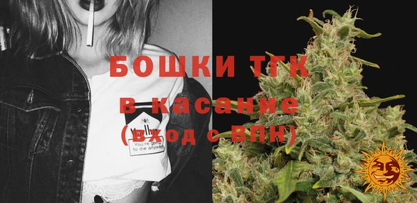 ПСИЛОЦИБИНОВЫЕ ГРИБЫ Козловка