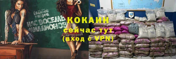 сатива Кодинск