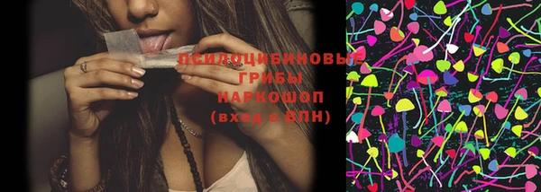 дживик Козельск