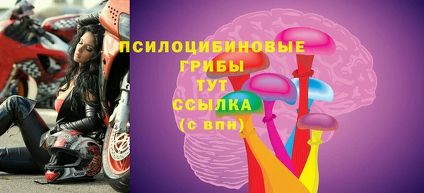 ПСИЛОЦИБИНОВЫЕ ГРИБЫ Козловка