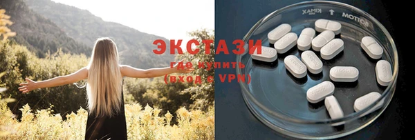дживик Козельск