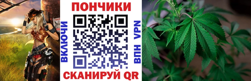 Бошки Шишки план  Купить закладки  Иннополис 